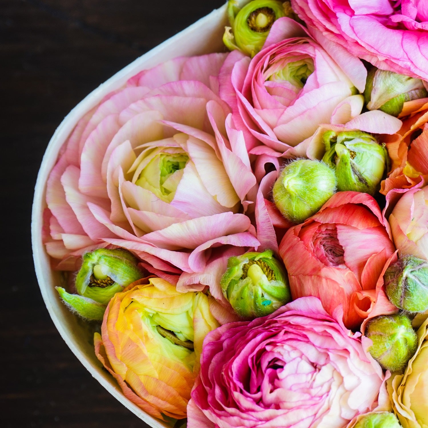 Season's Best Bunch Subscription: A bunch of the season’s best flowers: may consist of ranunculus, tulips, dahlias, lisianthus, or another seasonal bunch. A total of 3 season's best bouquets delivered every other week for 6 weeks.