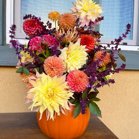 "Autumn Joy" Pumpkin