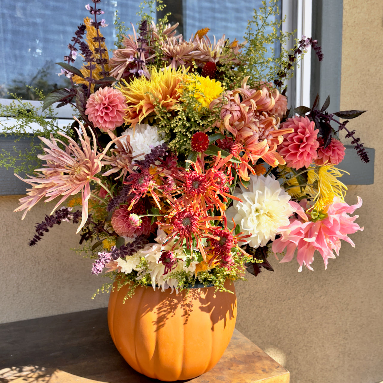 "Autumn Joy" Pumpkin