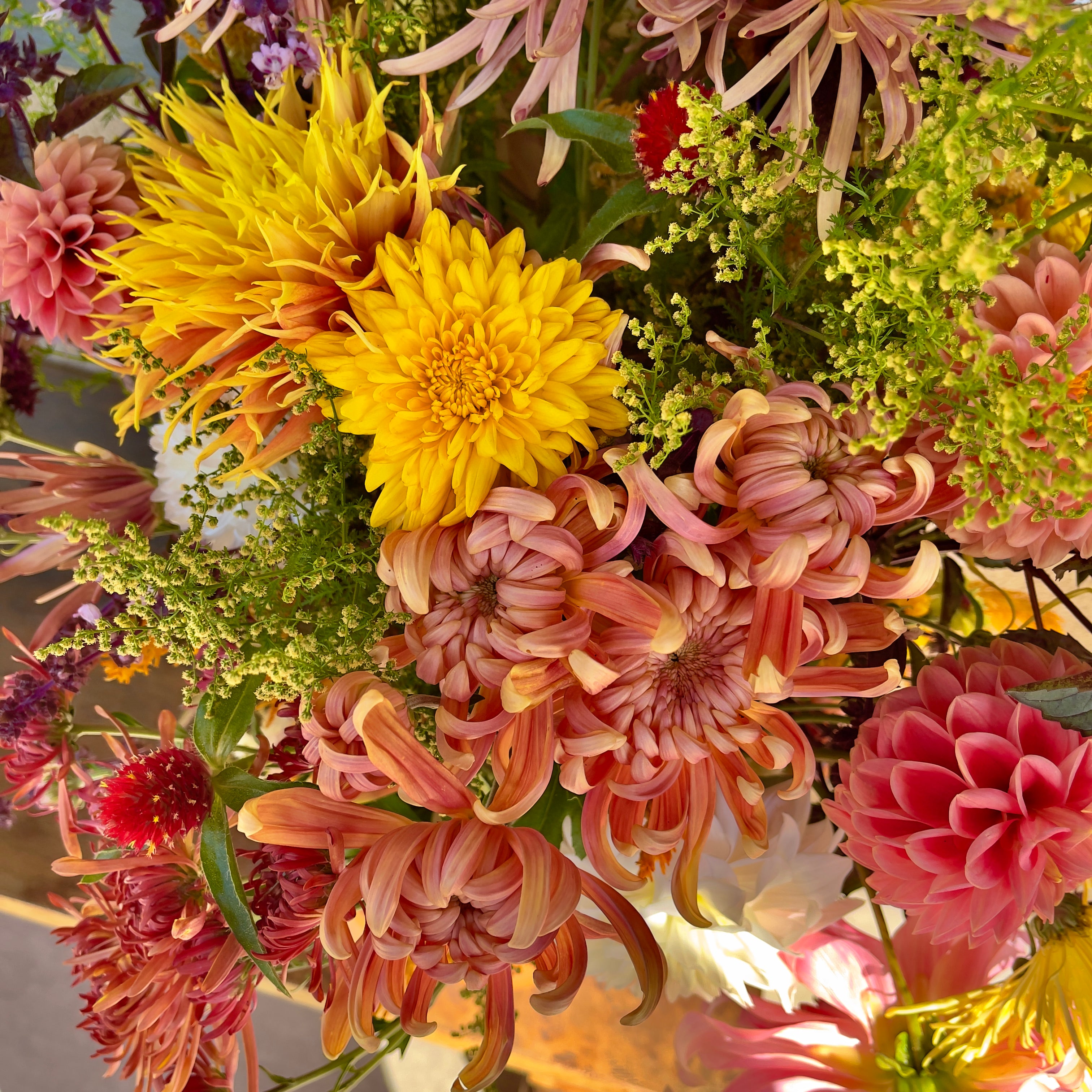 Farm House III Deluxe Subscription