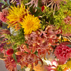 Farm House III Deluxe Subscription