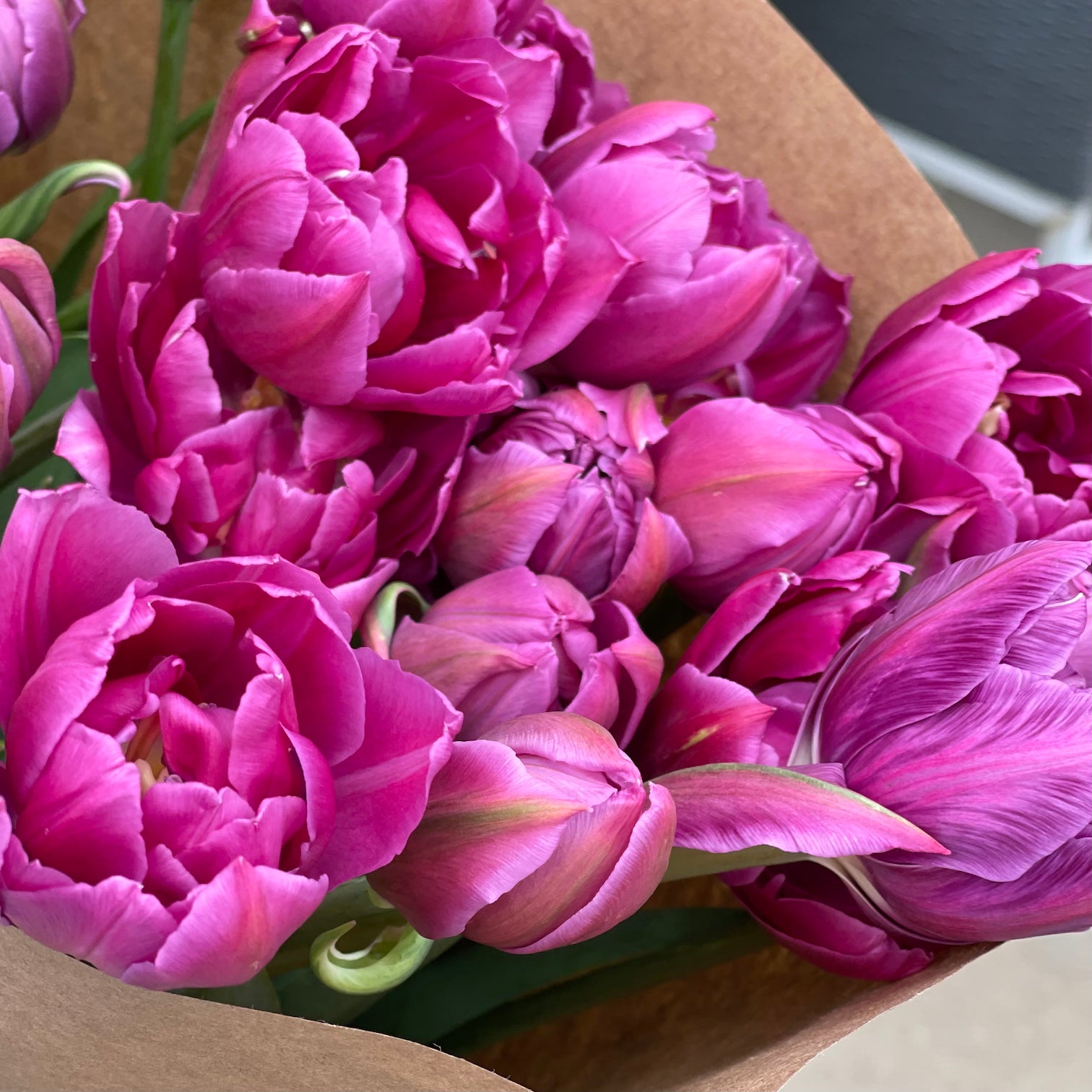 Season’s Best Bunch Subscription