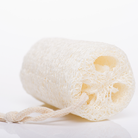 Dishcloth & Sponge Gourd Seed Mix