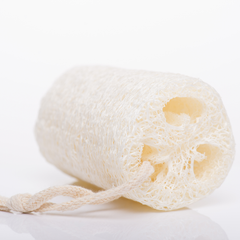 Dishcloth & Sponge Gourd Seed Mix