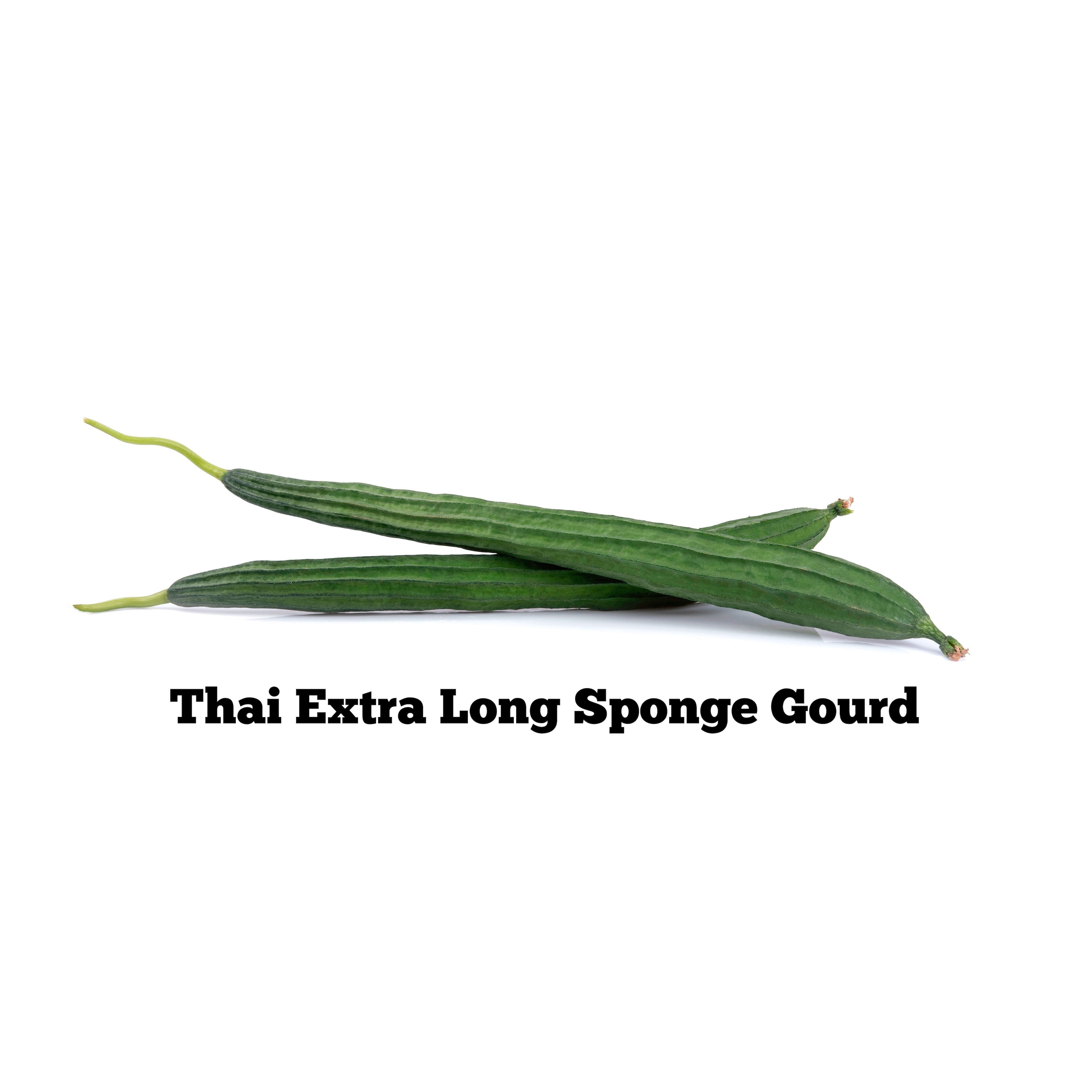 Thai Extra Long Sponge Gourd Seeds