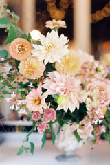 Focal Arrangement