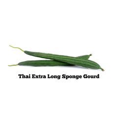 Thai Extra Long Sponge Gourd Seeds